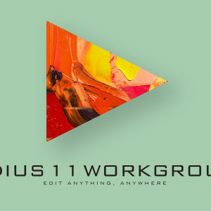 EDIUS 11 Workgroup